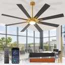 Large Ceiling Fans with Lights: Modern 72 Inch 8 Blade Outdoor Ceiling Fan with Remote APP Control - Dimmable Black Gold Big Fan light Indoor Reversible 6 Speed Quiet DC Motor,  Black and Gold 01, 72 Inch