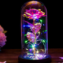 Galaxy Rose, Gifts for Mom LED Lights Everlasting Crystal, Beauty and Beast Rose, Rose in Glass Dome Galaxy Rose Flower Gift for Anniversary Valentines Girlfriend Wife Women, Birthday, Christmas
Starlight Led Rose