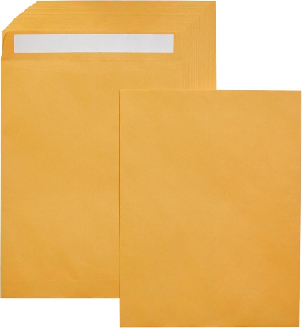 Amazon Basics Catalog Mailing Envelopes, Peel and Seal, 10x13 Inch, Brown Kraft, 100-Pack