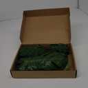60 Pieces 5 Kinds Artificial Palm Leaves with Faux Stem, Tropical Party Decorations Jungle Monstera Leaves Safari Leaves for Hawaiian Luau Party Jungle Beach Table Leave Decorations