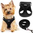 Dog Harness for Small Dogs and Leash Set, Honeycomb Grid, Reflective Lightweight Harness & Anti-Twist Pet Lead  (S, Black)