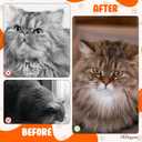 Pet Hair Remover Glove  Silicone Cat & Dog Fur Removal Mitt for Furniture, Bedding & Car Seats  Reusable, MachineWashable Magic Brush Design