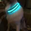 MASBRILL Light Up Dog Collars - LED Dog Collar Rechargeable Lighted Dog Collars Resistant-Water Night Walking Glow in the Dark Collars