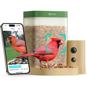 Birdfy Smart Bird Feeder with Camera for Rookie, Camera Bird Feeder Dual Night Vision, AI Recognition IP66 Waterproof for BirdLovers