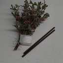 3 PCS Christmas Lighted Branches for Vases, 147 Lights with Snowflake Mistletoe-Leaf Berries Pine Cones, Battery Operated, Timer, Handmade Artificial Evergreen Sprig for Indoor Outdoor