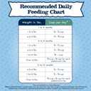 Blue Buffalo Baby Blue Natural Grain-Free Dry Food for Kittens, Healthy Growth Formula with DHA, High-Protein Savory Chicken Recipe, 4.5-lb. Bag (EXP 02/14/27)