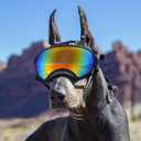Pacify Dog Goggles for Large Dogs, UV Protection Dog Sunglasses with Adjustable Strap for Large Dog Pet Glasses