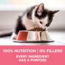 Purina ONE High Protein, Natural Dry Kitten Food, +Plus Healthy Kitten Formula - 7 lb. Bag (EXP 05/31/27)
