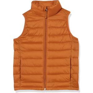 Amazon Essentials Boys and Toddlers' Lightweight Water-Resistant Packable Hooded Puffer Vest (2T)