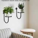 Wall Planters for Indoor Plants, Mounted Holder Shelf, Metal Plant Wall Hanger, Decorative Plant Shelf for Indoor Wall Decor (3 Pack)