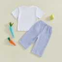 Toddler Bay Boy Girl Easter Clothes Bunny Embroidery Short Sleeve T-Shirt Tops Plaid Jogger Pants Set Spring Outfit (Blue)