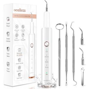 Plaque Remover for Teeth - Tartar Remover for Teeth, Dental Calculus Remover Teeth Cleaning Kit 4 Speed Modes with 4 Replaceable Heads, IPX6 Waterproof with LED Light