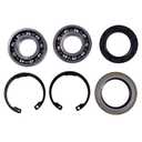 K5371-34113 K5781-34600 Spindle Bearing Rebuild Kit Compatible with Kubota RCK60
