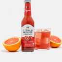 Citrus House Organic Sparkling Juice, Blood Orange, Modern Italian Soda, No Added Sugar, No Preservatives, 9.3 Fl Oz Glass Bottle (Pack of 12) (EXP 02/28/26)