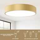 15.8 Inch Gold Flush Mount Ceiling Light,Elegant 3-Light Fixture