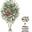 6FT Olive Trees Artificial, Large Faux Olive Tree with White Tall Planter, Faux Tree Indoor with Lush Lifelike Fruits for Living Room Bedroom Balcony Corner Office Home Decor