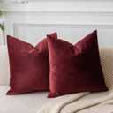 JUSPURBET Couch Pillow Covers Set of 2 Decorative Velvet Throw Pillow Covers Cases for Living Room Bedroom Home Decor Soft Cushion Covers with Hidden Zipper for Sofa Bed 24x24 inch, Burgundy