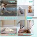 Carpet Rake for Pet Hair Removal Tool - Reusable Dog Cat Hair Remover Scraper with Adjustable Long Handle, Carpet Clean Brush & Broom for Rugs, Mats, Couch, Furniture and Car Interiors