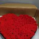 VEVOR Forever Flowers, 100 Preserved Roses in a Heart Shape Box, Eternal Flowers Immortal Bouquet Birthday Present for Women Her Wife Mothers, Anniversary, Valentine's Day,Christmas, Red