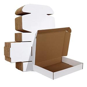 HORLIMER 12x9x2 inches Shipping Boxes Set of 25, White Corrugated Cardboard Box Literature Mailer