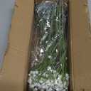 Baby's Breath Artificial Flowers Bulk 10 Pack (30pcs) Faux Baby Breath Plastic Flower Fake Gypsophila Flower Arrangement for Crafts Fake Flowers Bouquet for Wedding Centerpieces Mix Baby Breath