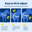 PetSafe Easy Walk Comfort No-Pull Dog Harness Full-Body Padding - Better Walks on the First Use - 5 Points of Adjustment Medium/Large, Blue