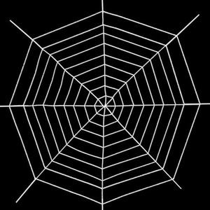 12 FT 9-Ring Spider Web Halloween Decorations, Giant Rope Fake Spider Web for Scary Haunted House, Outdoor Yard, Porch, Wall, and Spooky Trick-or-Treat Hanging Party Decor (White) Pack of 2