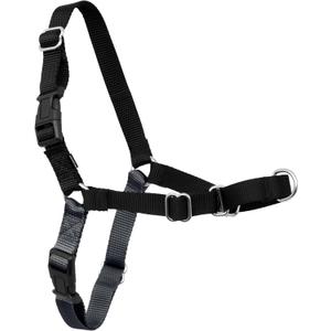 PetSafe Easy Walk Harness for Dogs - Pull-Free Walks - Patented Martingale Loop Design - Front Chest Leash Attachment - Comfort Straps - Breathable Harness Design - Small, Charcoal/Black