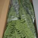 FOREST PRINCE 35" Fake Ferns, 4 Large Artificial Bonston Ferns Bushes Plants with 39 Fronds for Outdoors Garden Patio Porch Entrance Low Maintain Home Decor