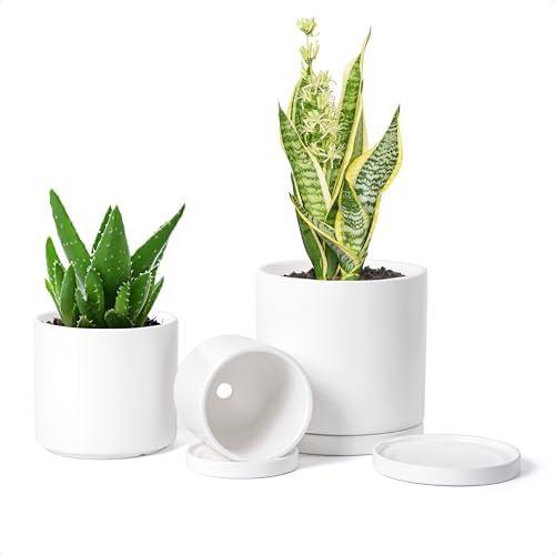 D'vine Dev White Terracotta Pots for Plants, 4.2 Inch 5.3 Inch 6.5 Inch, Succulent Planter Pot with Drainage and Saucer, 40-T-A-1, 3 Pots