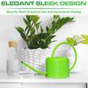 Plexon Long Spout Watering Can Indoor Plants, 40 oz Small Watering Can Pot Metal for Garden Flowers House Plants Mini, Powder Coated, for Mom Girlfriend Daughter, Green