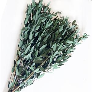 Preserved Dried Eucalyptus Greenery Stems, 20+ Pcs 16 inches Natural Long Lasting Eucalyptus Bundles for Vase Arrangements Home Decoration Photo Props Parties and Weddings, DIY Dcor-Green