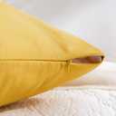 Evolive Ultra Soft Microfiber Body Pillow Cover/Pillowcases 21"x54" with Hidden Zipper Closure Set of 2. (Spicy Mustard, Body Pillow Cover 21"x54")