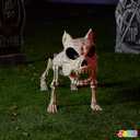 JOYIN 16 Posable Puppy Skeleton Halloween Decorations Realistic Plastic Dog Animal Bones with Movable Joints for Halloween Indoor Outdoor Decor Spooky Scene Party Favors Graveyard Decor