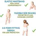 Andy Pandy Training Pant Diapers for Unisex Kids Toddlers - 2T (Large), 20-31 lbs - White, 25 Count (Non-Adult)