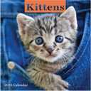 TF Publishing 2026 Kittens Mini Calendar with Monthly Grids for Appointments and Scheduling - Vertical Small Wall Calendar 2026 with Premium Gloss Paper for Home and Office Organization - 7x7in