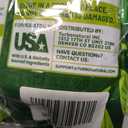 3 x Yerba Mate Instant Tea Powder, 4-in-1 Peach Mango Flavor Super Drink with Prebiotics and Probiotics Lions Mane L-Theanine for Natural Energy & Gut Health, Reduce Brain Fog Low Sugar 30 Servings