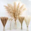 Decorative Tall Pampas Grass for Floor Vase Premium Large Pampas Grass Decor Tall, 17"-40" Pampas Grass Stems, Dried Pampas Grass Decor Tall, Natural Pampas Grass with Beige Decor and Boho Feathers