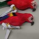 Pirate Parrot on Shoulder Life Sized Parrot Toy for Costume Accessories for Halloween Party (Multicolour)