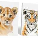 2 Paintings, Lion and Tiger 16×13Inch