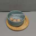 Havniva Ceramic Elevated Cat Food and Water Bowl, Kitty Bowl, Raised Cat Dish, Pet Feeder (5.1 in,1 x Light Green + Stand)