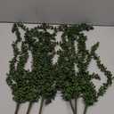 6 Pcs Artificial Succulents Hanging Plants, Fake String of Pearls Greenery Plants, Decoration for Wall, Home, Backdrop, Garden, Indoor and Outdoor