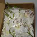 PATIKIL 7 Inch Orchid Faux Flowers for Floating Candles, 12 Pack Floating Flowers Vase Fillers Centerpiece Decoration for Wedding Party Bar Restaurant, Cream