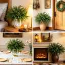 MEMOVAN Christmas Norfolk Pine Branches 18inch Artificial Green Pine Stem Real Touch Faux Cedar Pine Stem Lifelike Greenery Pines Picks Sprays for Vases DIY Flower Xmas Wreath Garland Craft Home Decor