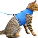 Cat Harness and Leash for Walking Escape Proof Breathable Mesh Fabric, Solid Blue, Extra Large, Adjustable Cat Walking Jackets, Padded Stylish Cat Vest
