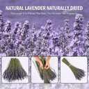 June Fox Dried Lavender Flowers 270-300 Stems 100 Natural Dried Lavender Bunches for Home Decoration, Home Fragrance, Handmade Soap Flower