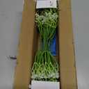 Der Rose 24PCS White Babys Breath Artificial Flowers,11'' Elegant Faux Baby Breath Flowers for Wedding Home Decor, Table Centerpieces & DIY Fake Flowers