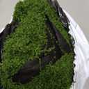 Fake Moss Table Runner for Crafts, Natural Decorative for Plants Indoor with Base Fabric, Moss Blanket, Moss Carpet, Moss Mat 19.6878.74 inch Artificial Moss Mat for Wedding, Floral DIY