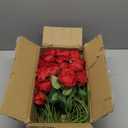 InnoGear 50 Pcs Red Roses Artificial Flowers, Fake Velvet Silk Rose Bulk Faux Flower for Valentine's Gift Decoration DIY Wedding Centerpieces Proposal Bridal Bouquets Party Floral Decor (50, Red)