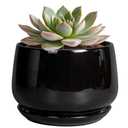 G EPGardening 6 Inch Planter - Ceramic Pot for Plants, Ceramic Planter with Drainage and Saucer, Round Flower Pot Indoor Outdoor, Modern Room Decor, Home Gifts, Black